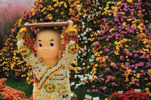 曹渓寺の菊祭り